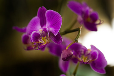 Similar image 7400388