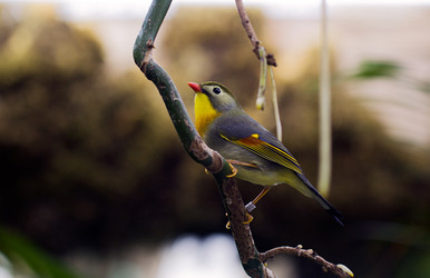 Similar image 7400389