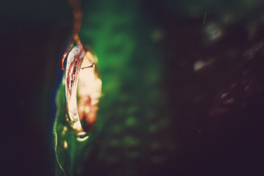 Similar image 7400393