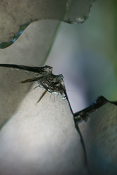 Similar image 7400398