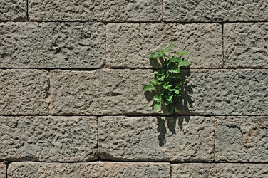 Similar image 7400543