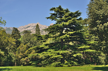 Similar image 7400546