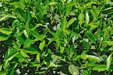 Similar image 7400550