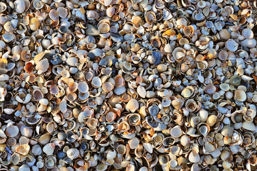 Similar image 7400552