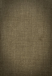 Similar image 7400556