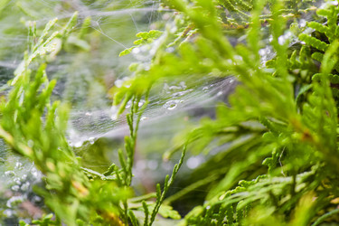 Similar image 7400819