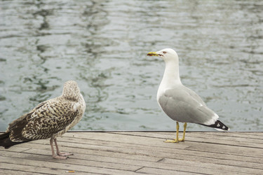 Similar image 7401171