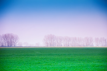 Similar image 7401440