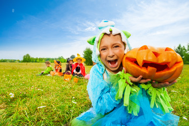 Similar image 7402000