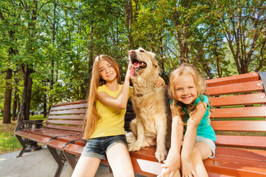 Similar image 7402041