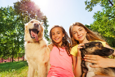 Similar image 7402051