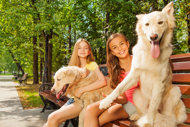 Similar image 7402083