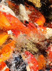 Similar image 7402293