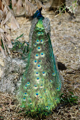 Similar image 7402295