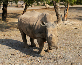 Similar image 7402304