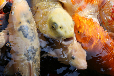 Similar image 7402305