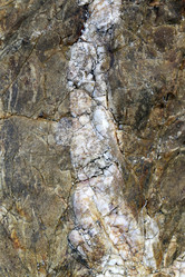 Similar image 7402312