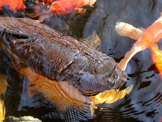 Similar image 7402313