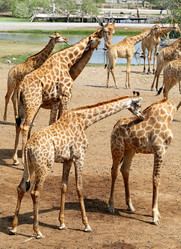 Similar image 7402315