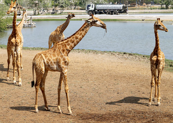 Similar image 7402316