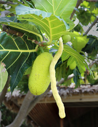 Similar image 7402317