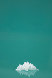 Similar image 7402757