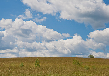 Similar image 7402778