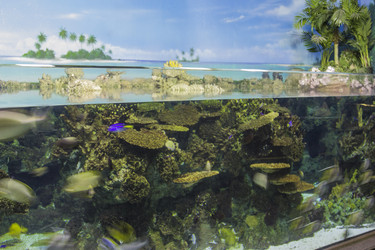 Similar image 7402797