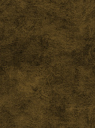 Similar image 7420888