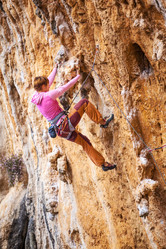 Similar image 7420943