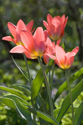 Similar image 7421128