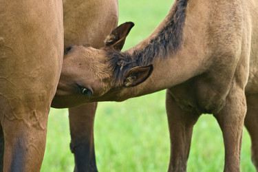 Similar image 7421137