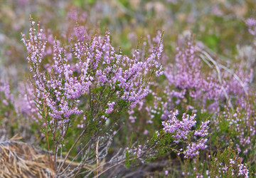 Similar image 7421161