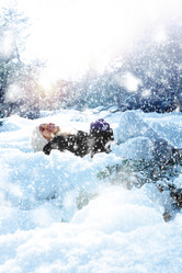 Similar image 7421610