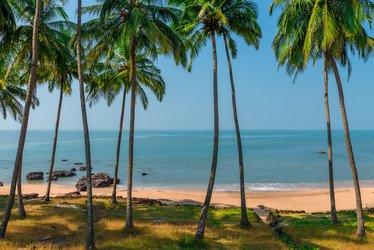 Similar image 7421626