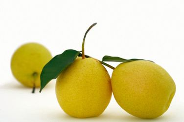 Similar image 7421780