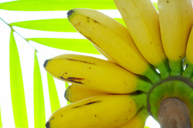 Similar image 7421795