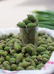 Similar image 7422083