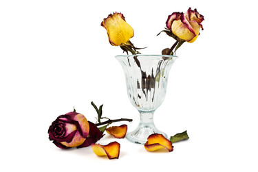 Similar image 7422087