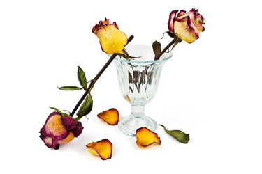 Similar image 7422088