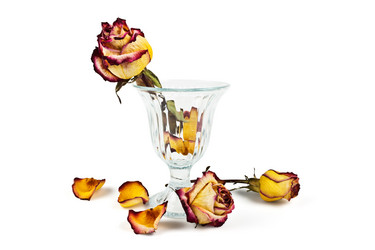 Similar image 7422089