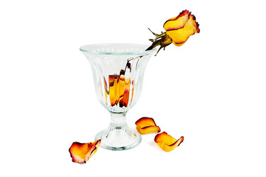 Similar image 7422090