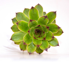 Similar image 7422227