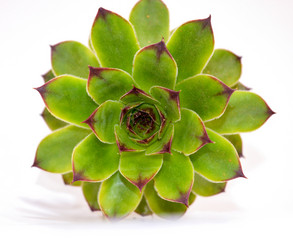 Similar image 7422228