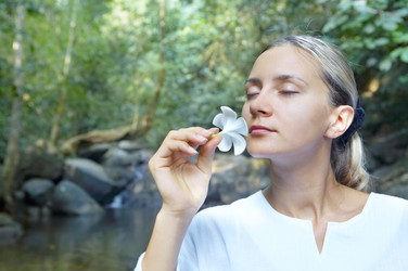 Similar image 7422287