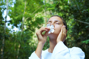 Similar image 7422311