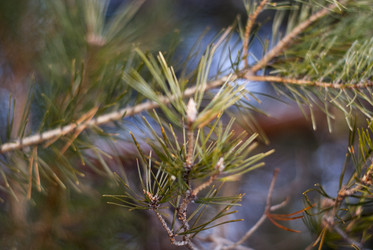 Similar image 7422671