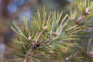 Similar image 7422673