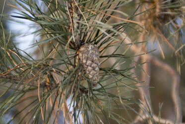 Similar image 7422680