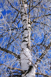 Similar image 7422755